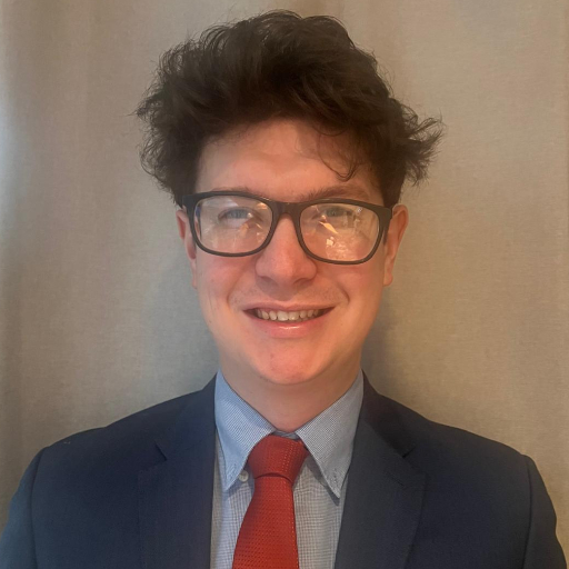 Private tutor Dom in Sutton