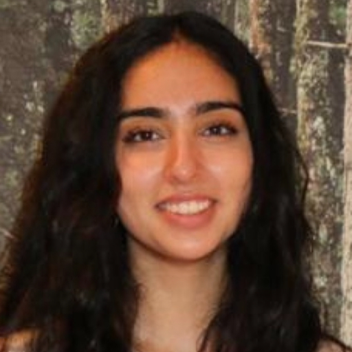 Private tutor Ravneet in Bradford